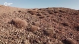 Tales From The New Silk Road