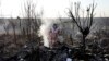 Aviation Experts Question Engine Explanation For Ukraine International Airlines Crash